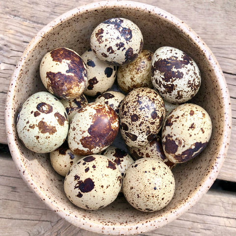Big Country Raw Quail Eggs