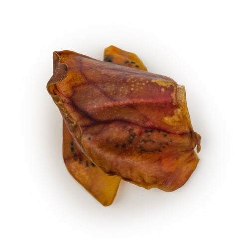 Pig Ears