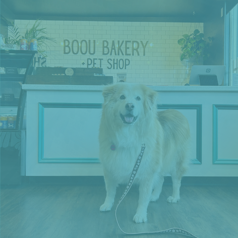 It's a Treat Tuesday delivery week!