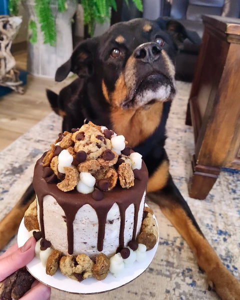 Celebrate with a little help from us