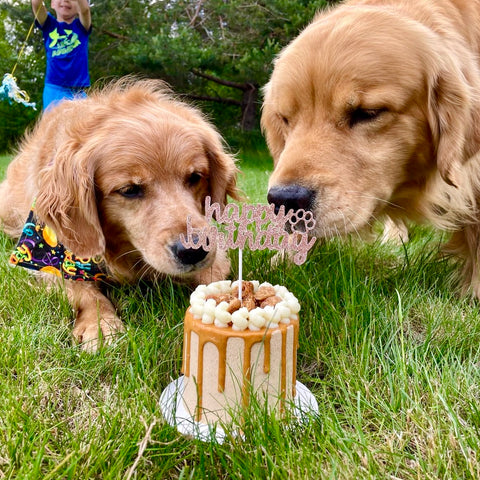Cake Toppers