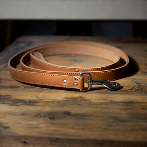 Lacets Arizona Leather Leash