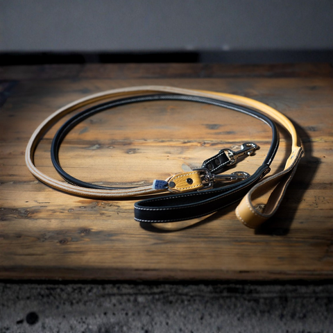 Lacets Arizona Round Leather Leash