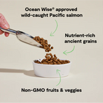 Open Farm Wild Caught Salmon Ancient Grains Dog Kibble