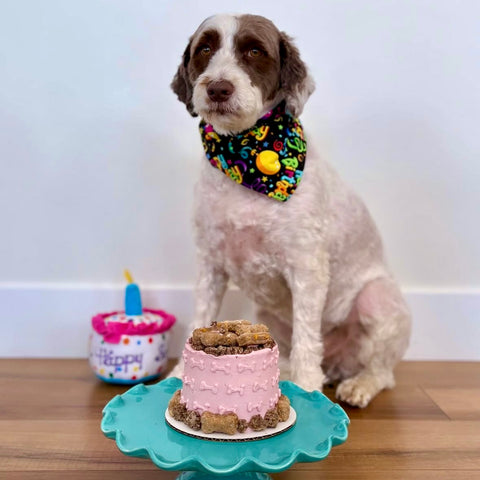 Cheeseburger Cake - Light Pink