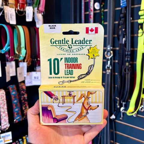 Gentle Leader 10' Indoor Training Lead
