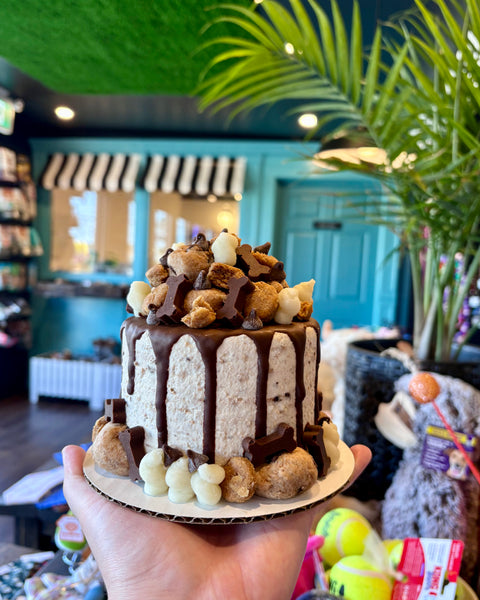 Cakes and cupcakes to suit every pup