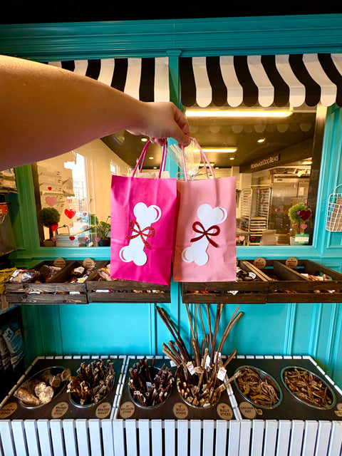 For your furry Valentine 🐶💕