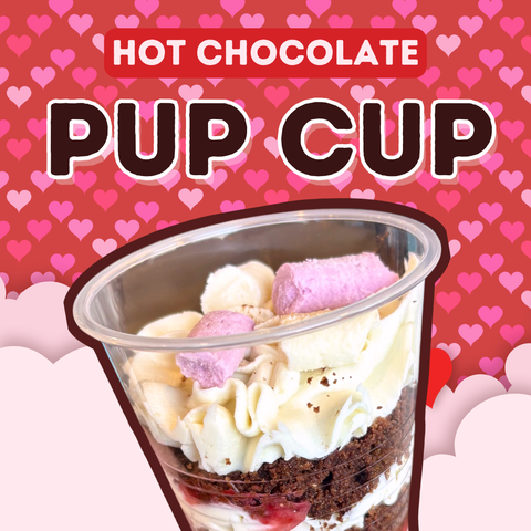 Hot Chocolate Pup Cup (in-store only)