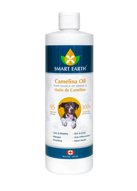 Health & Supplements for Dogs