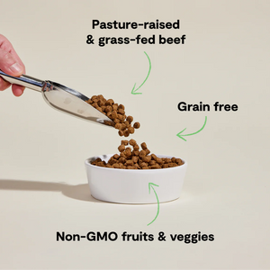 Open Farm Grass-Fed Beef Grain-Free Dog Kibble