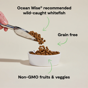 Open Farm Catch-of-the-Season Whitefish Grain-Free Dog Kibble
