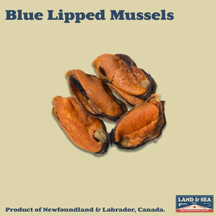 Land & Sea Blue Lipped Muscles